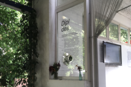 stefanie-haeffner.de